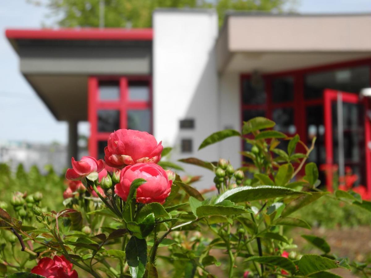 Rosen-Hotel Sangerhausen Esterno foto