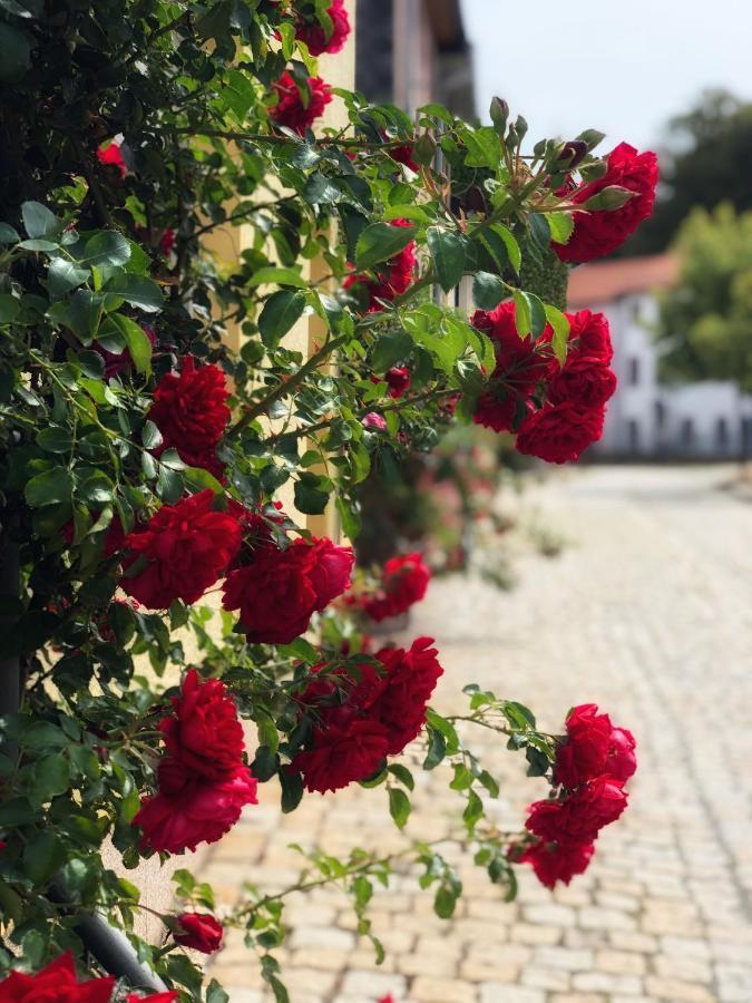 Rosen-Hotel Sangerhausen Esterno foto